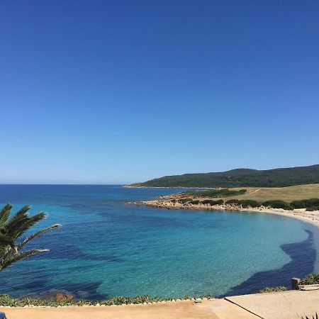 Ajaccio Magnifique T2 45M2 Neuf 5 Personnes Clim Wifi Stationnement Gratuit Centre Ville Plage A 300M Eksteriør billede
