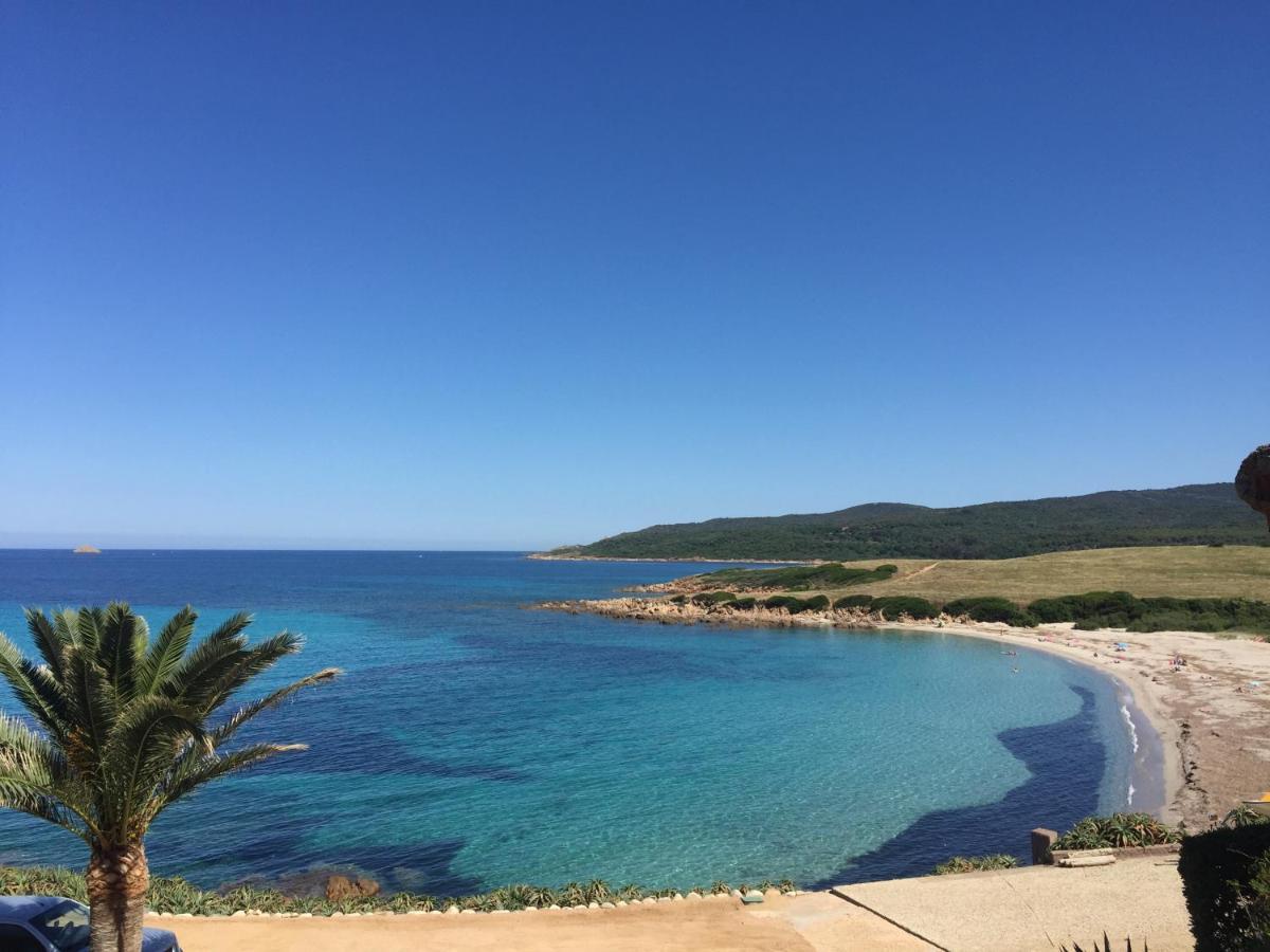 Ajaccio Magnifique T2 45M2 Neuf 5 Personnes Clim Wifi Stationnement Gratuit Centre Ville Plage A 300M Eksteriør billede
