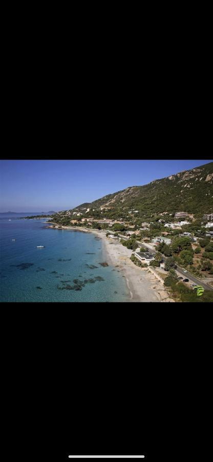 Ajaccio Magnifique T2 45M2 Neuf 5 Personnes Clim Wifi Stationnement Gratuit Centre Ville Plage A 300M Eksteriør billede