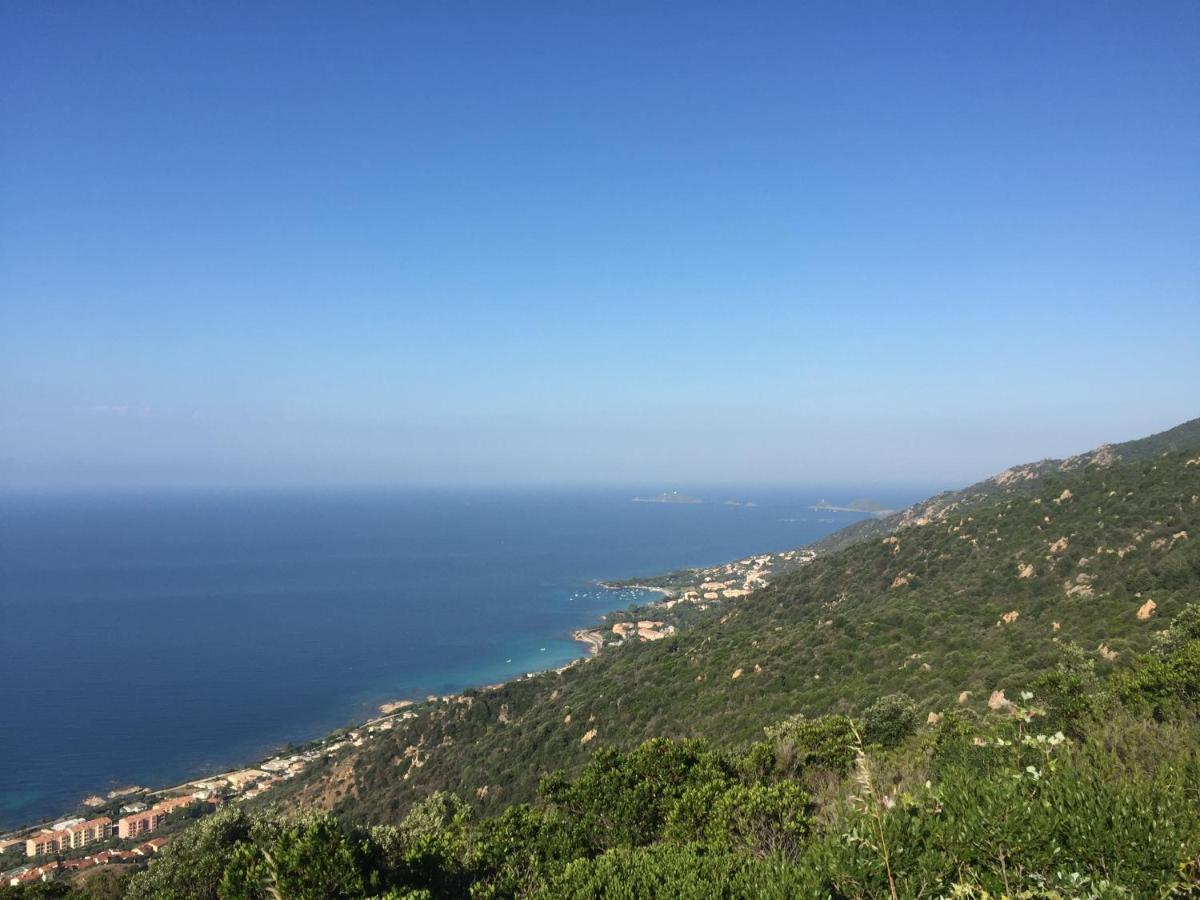 Ajaccio Magnifique T2 45M2 Neuf 5 Personnes Clim Wifi Stationnement Gratuit Centre Ville Plage A 300M Eksteriør billede